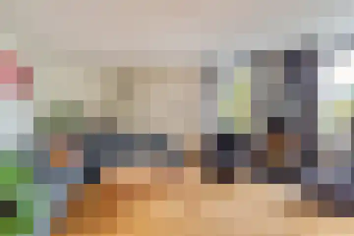 Pipegaal 9 Oudehaske thumbnail 16
