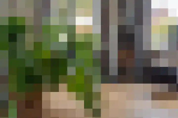 Pipegaal 9 Oudehaske thumbnail 18