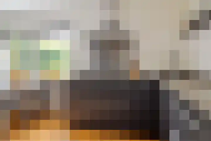 Pipegaal 9 Oudehaske thumbnail 25