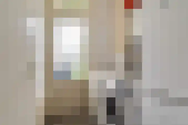 Pipegaal 9 Oudehaske thumbnail 32
