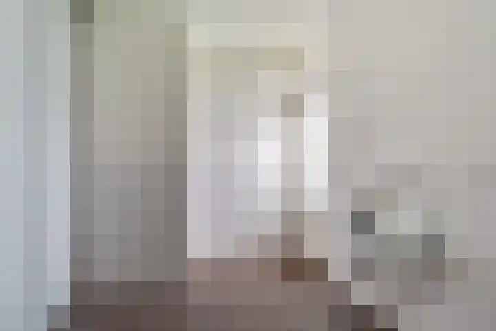 Pipegaal 9 Oudehaske thumbnail 33