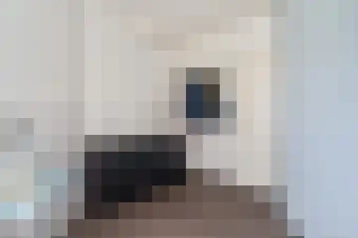 Pipegaal 9 Oudehaske thumbnail 34