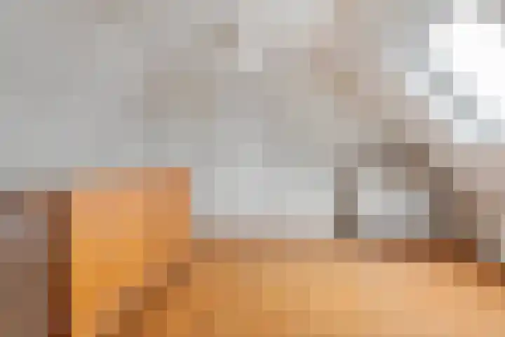 Pipegaal 9 Oudehaske thumbnail 37