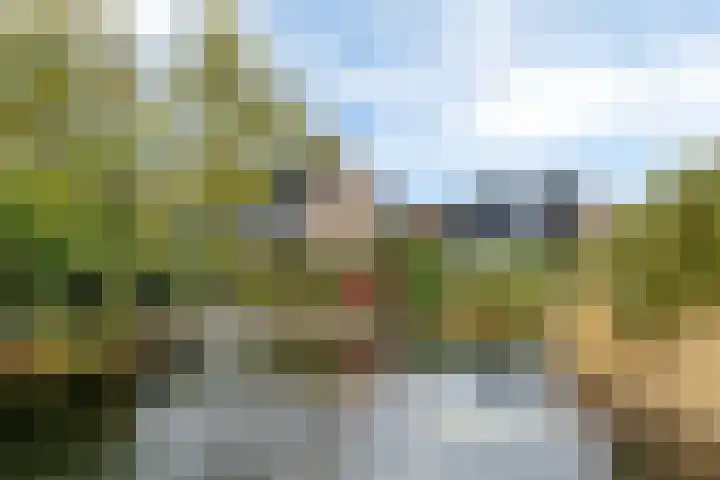 Pipegaal 9 Oudehaske thumbnail 4