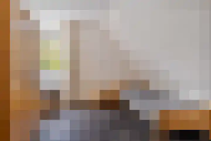 Pipegaal 9 Oudehaske thumbnail 44