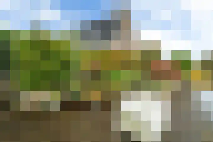 Pipegaal 9 Oudehaske thumbnail 5