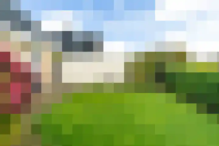 Pipegaal 9 Oudehaske thumbnail 52