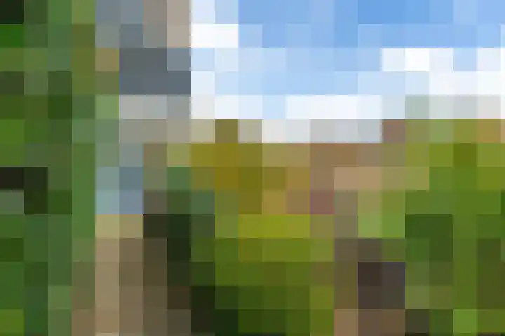 Pipegaal 9 Oudehaske thumbnail 57
