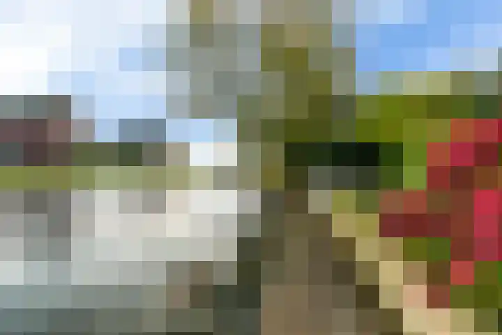 Pipegaal 9 Oudehaske thumbnail 6