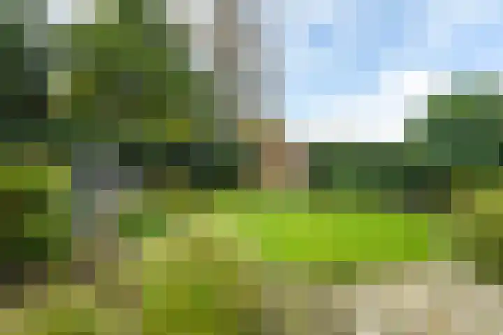 Pipegaal 9 Oudehaske thumbnail 8
