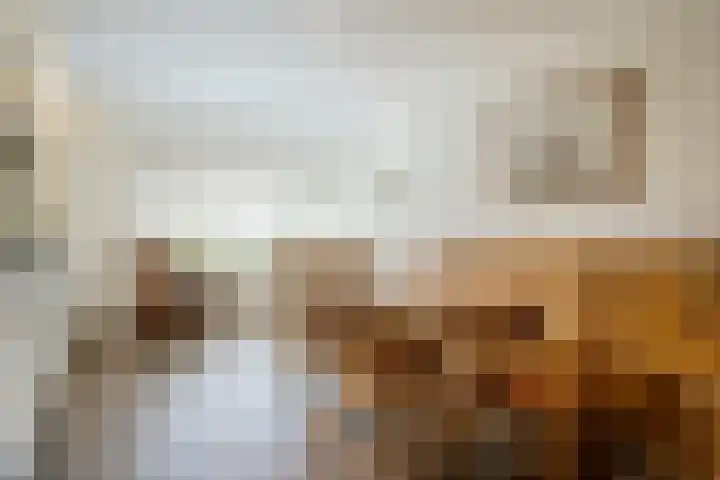 Pippeling 46 Boskoop thumbnail 10