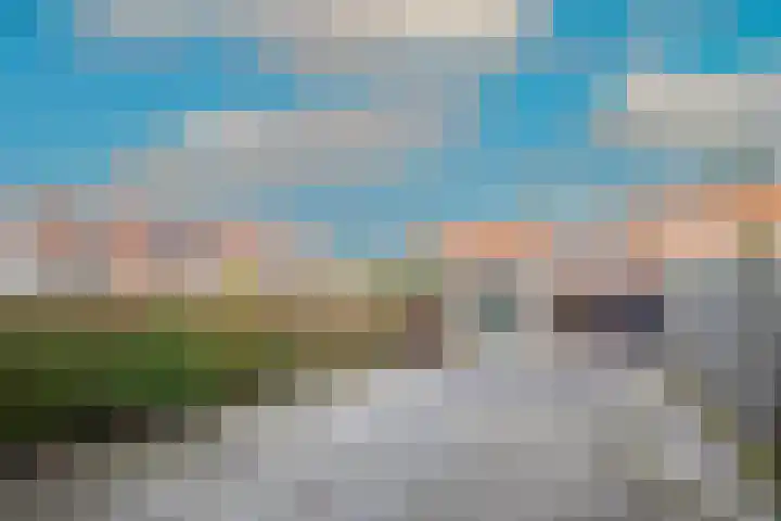 Pippeling 46 Boskoop thumbnail 20