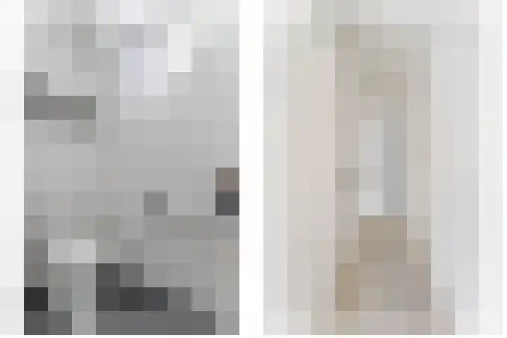 Pippeling 46 Boskoop foto 3