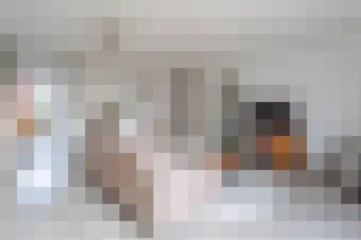 Pippeling 46 Boskoop thumbnail 4