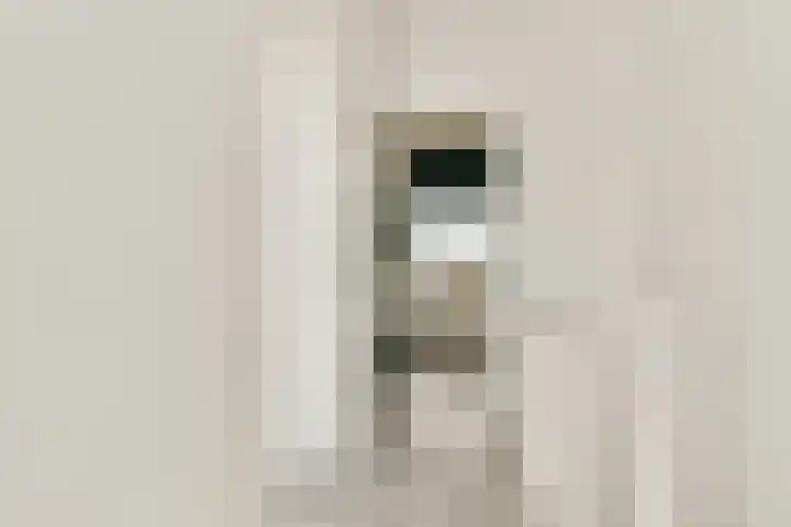 Pippeling 46 Boskoop thumbnail 9