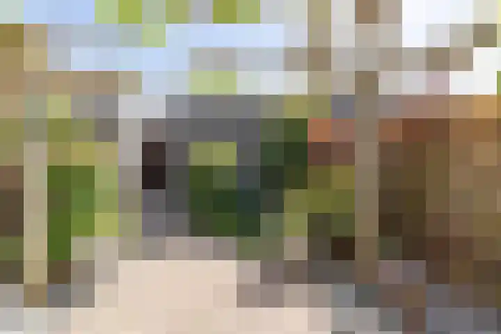 Pippeling 62 Boskoop thumbnail 11