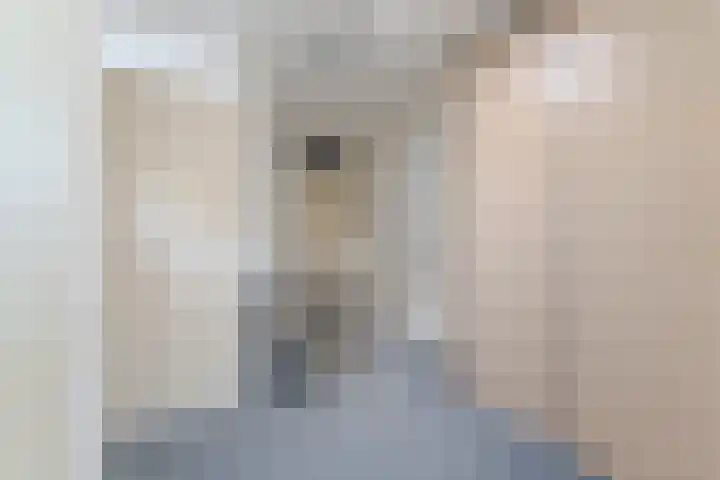 Pippeling 62 Boskoop thumbnail 12