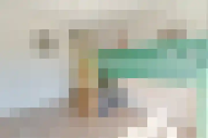 Pippeling 62 Boskoop thumbnail 14
