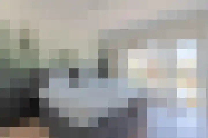 Pippeling 62 Boskoop thumbnail 17