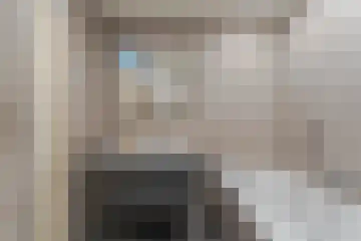 Pippeling 62 Boskoop thumbnail 19