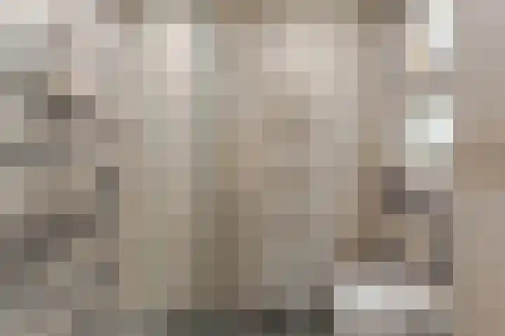 Pippeling 62 Boskoop thumbnail 20