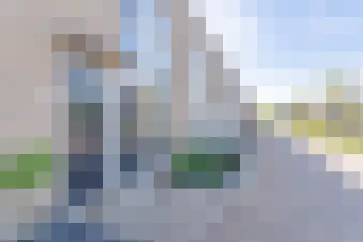 Pippeling 62 Boskoop thumbnail 21
