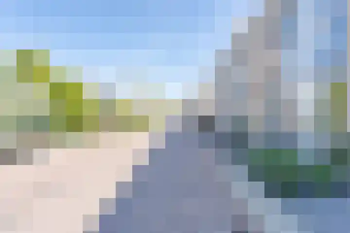 Pippeling 62 Boskoop thumbnail 22