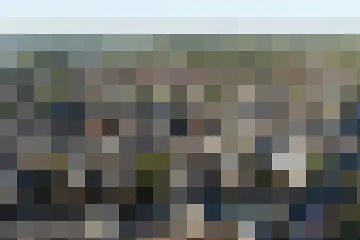Pippeling 62 Boskoop thumbnail 23