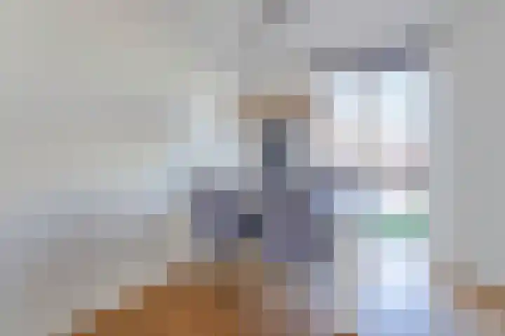 Pippeling 62 Boskoop thumbnail 5