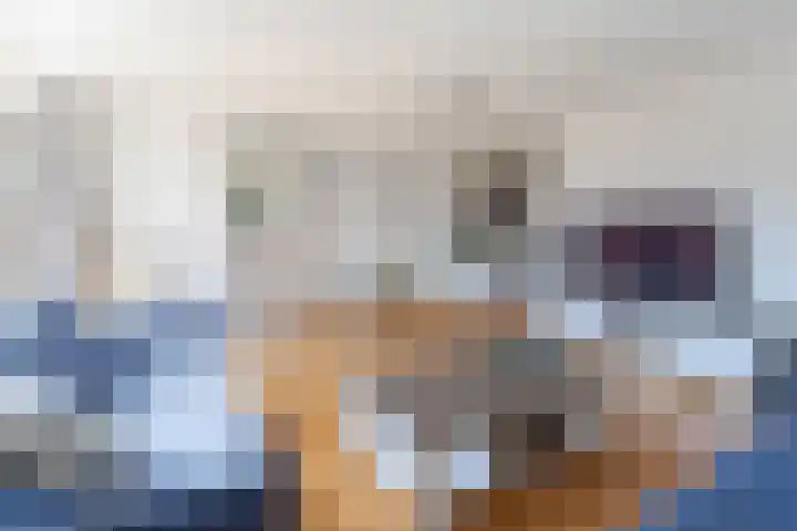 Pippeling 62 Boskoop thumbnail 8