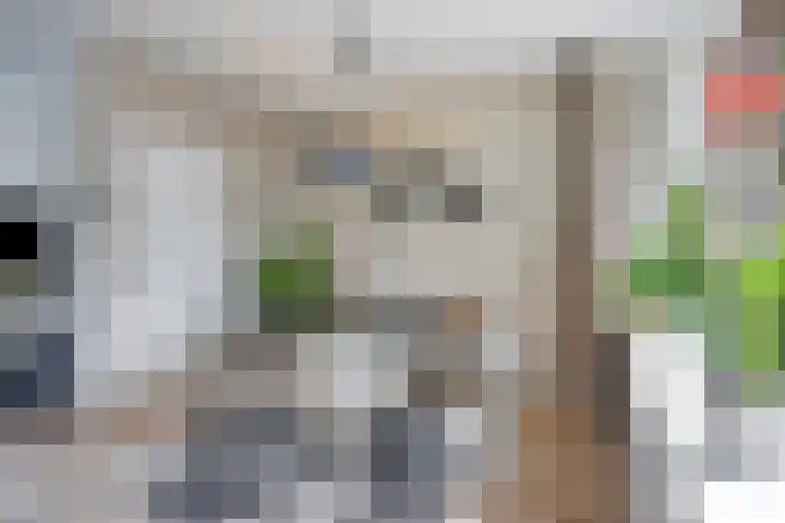 Pippelingstraat 16 Eindhoven thumbnail 10