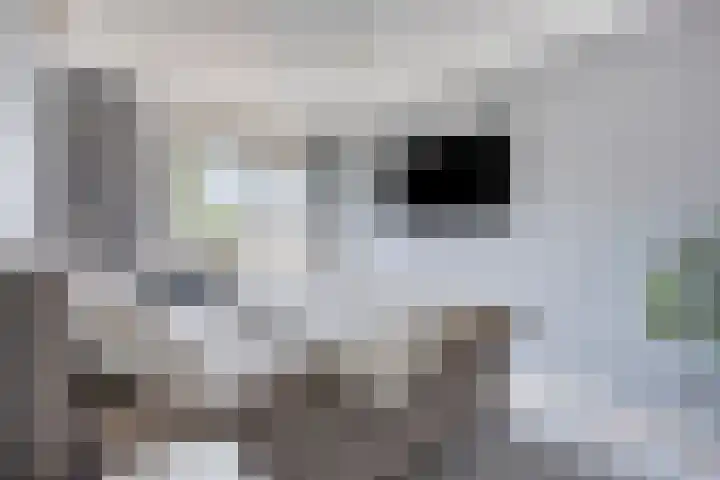 Pippelingstraat 16 Eindhoven thumbnail 16
