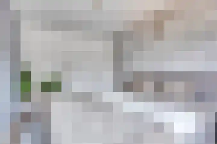 Pippelingstraat 16 Eindhoven thumbnail 17