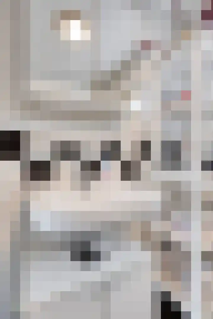 Pippelingstraat 16 Eindhoven thumbnail 20