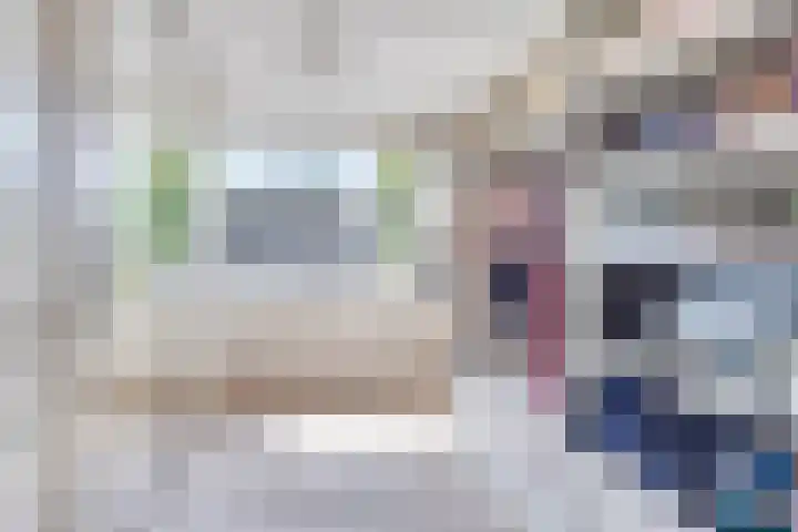 Pippelingstraat 16 Eindhoven thumbnail 21