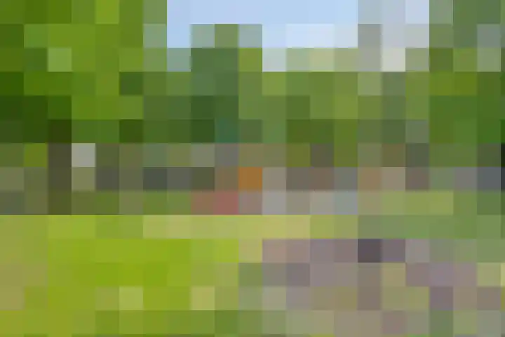 Pippelingstraat 16 Eindhoven thumbnail 33