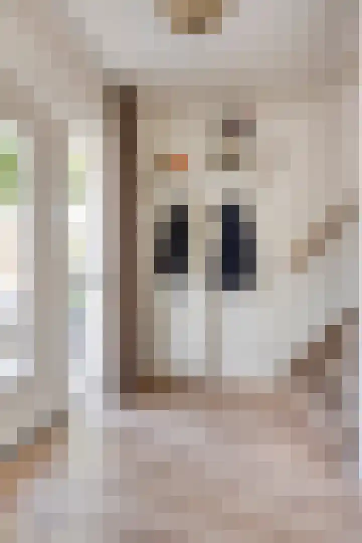 Pippelingstraat 16 Eindhoven thumbnail 4