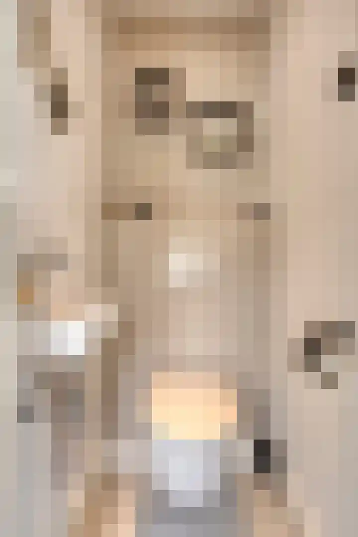 Pippelingstraat 16 Eindhoven thumbnail 5