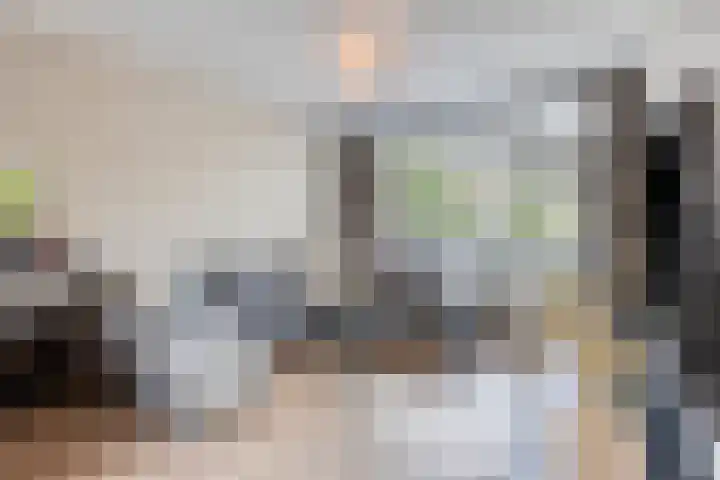 Pippelingstraat 16 Eindhoven thumbnail 6