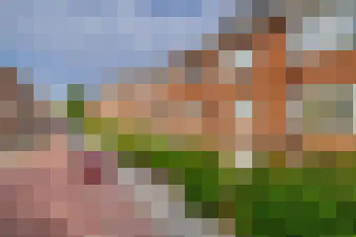 Pippelingstraat 21 Den Haag thumbnail 33