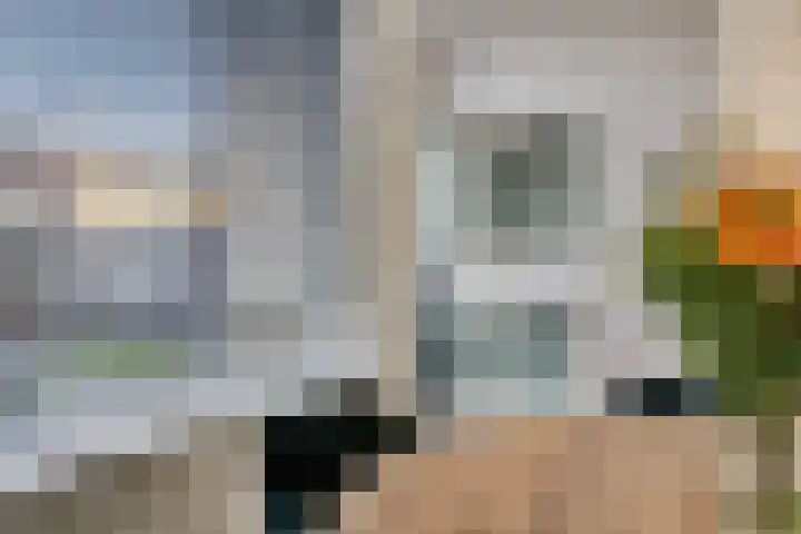 Pippelingstraat 33 Eindhoven thumbnail 12