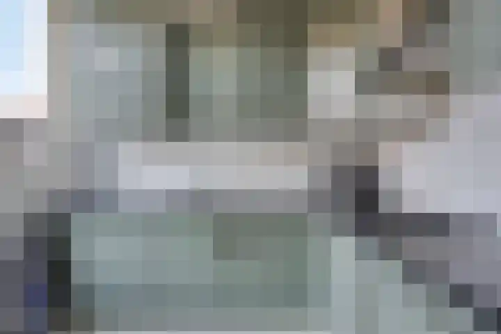 Pippelingstraat 33 Eindhoven thumbnail 14