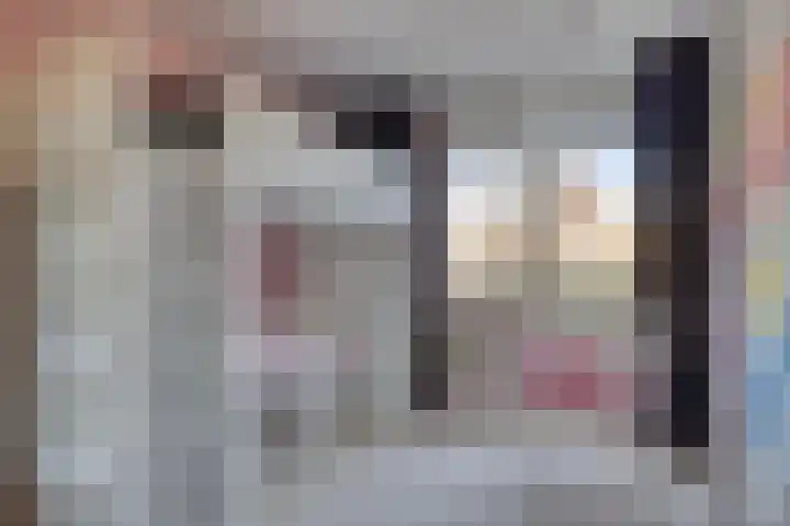 Pippelingstraat 33 Eindhoven thumbnail 18