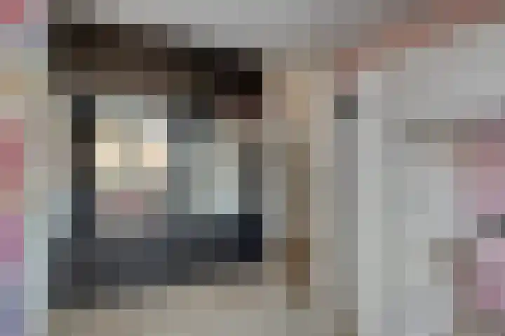 Pippelingstraat 33 Eindhoven thumbnail 19