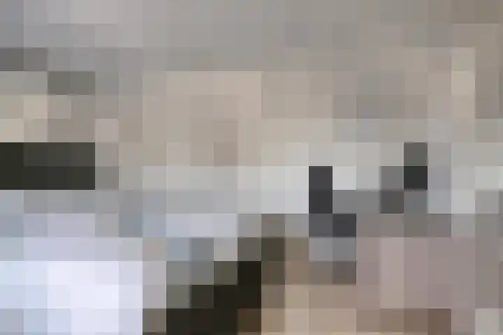 Pippelingstraat 33 Eindhoven thumbnail 29