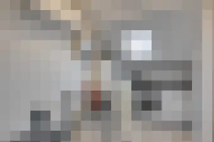 Pippelingstraat 33 Eindhoven thumbnail 30