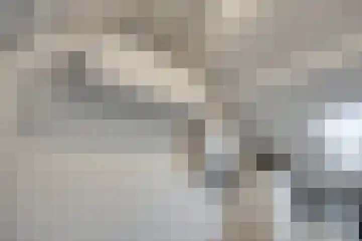Pippelingstraat 33 Eindhoven thumbnail 31