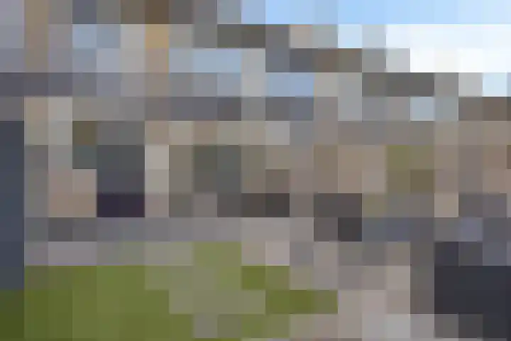 Pippelingstraat 33 Eindhoven thumbnail 32