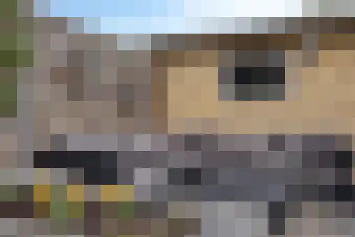 Pippelingstraat 33 Eindhoven thumbnail 35