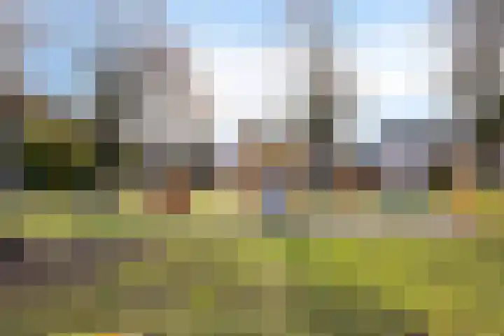 Pippelingstraat 33 Eindhoven thumbnail 38